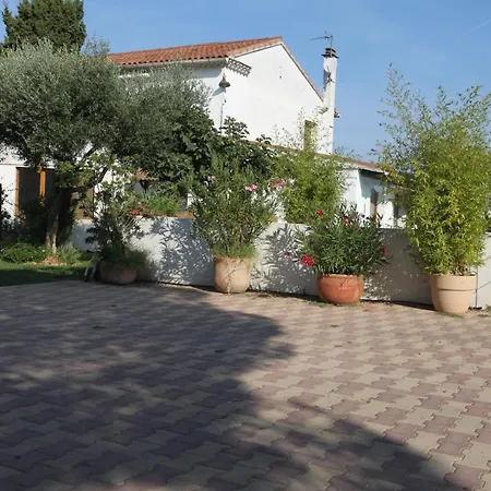 Site Machambreencamargue